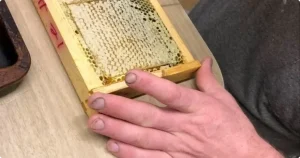 Beekeeper Glenn comb honey