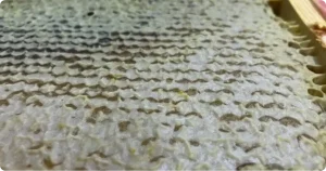 Honeycomb with wax cappings